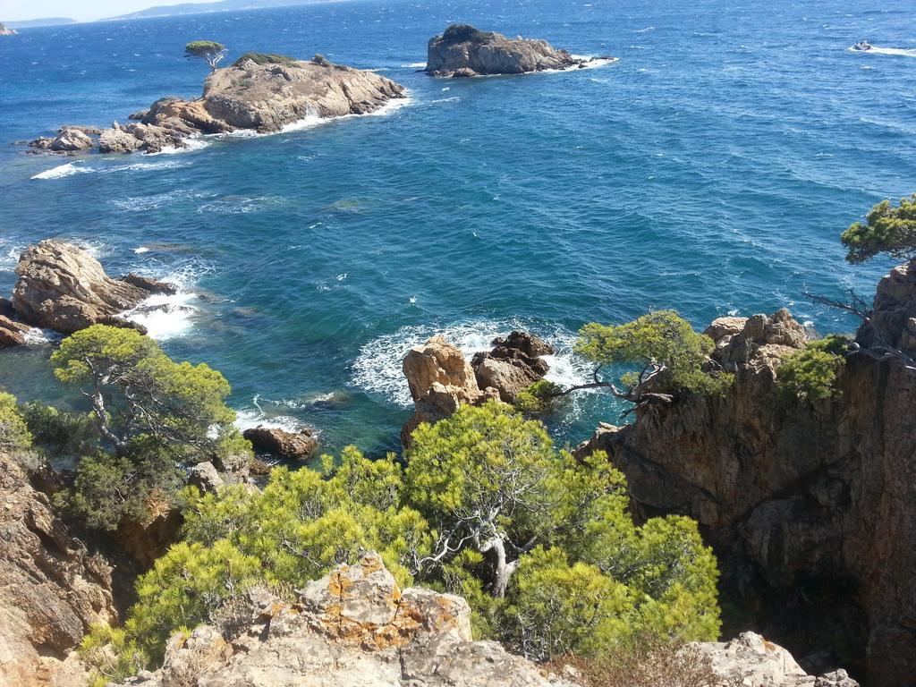 House With Garden And Sea View Villa La Londe-les-Maures ภายนอก รูปภาพ
