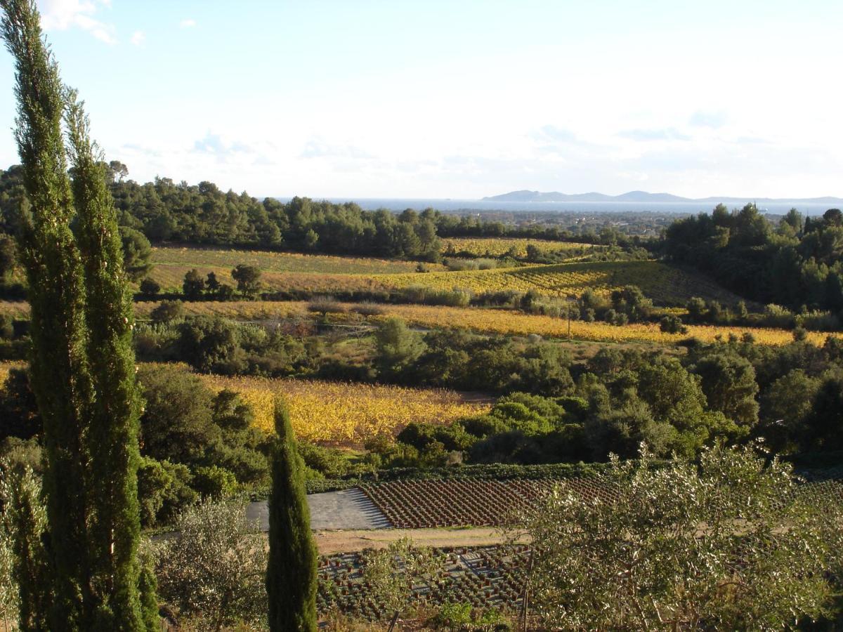 House With Garden And Sea View Villa La Londe-les-Maures ภายนอก รูปภาพ